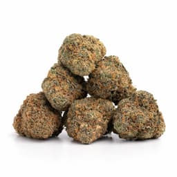 Lemon Skunk cannabis strain