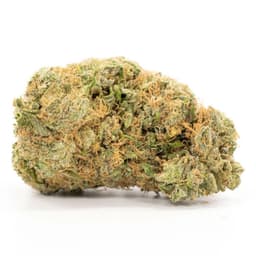 Snoop Dogg OG cannabis strain