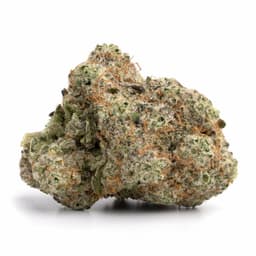 Cherry Tart cannabis strain