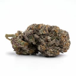MK Ultra cannabis strain