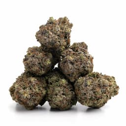 Shishkaberry cannabis strain