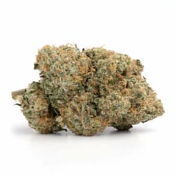 Pink Goo cannabis strain