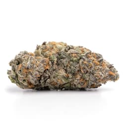 Pink Grapefruit cannabis strain