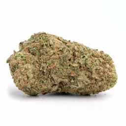 Tuna Kush cannabis strain