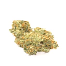 Nightfire OG cannabis strain