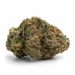 Cherry AK-47 cannabis strain