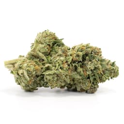 Carbon Fiber cannabis strain