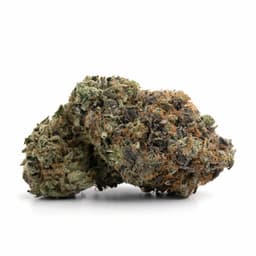 Purple Diamonds cannabis strain