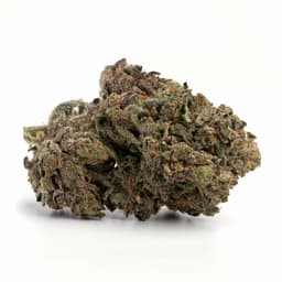 Platinum Rockstar cannabis strain