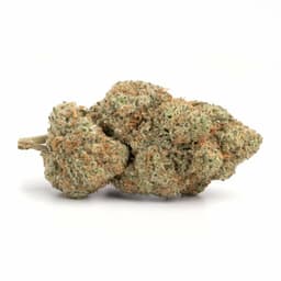 Honeyberry cannabis strain