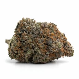 Papaya cannabis strain