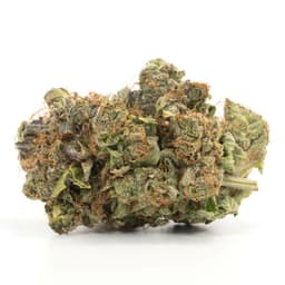 Lemon Sherbet cannabis strain