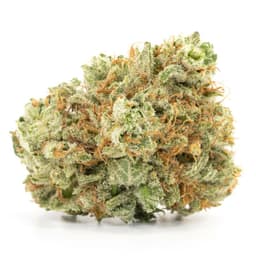 White Berry cannabis strain