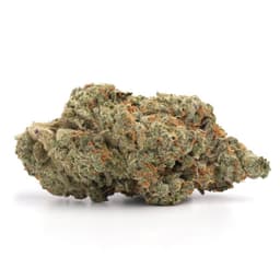 Kush Mints cannabis strain