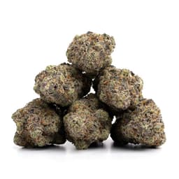 Pink Bubba cannabis strain