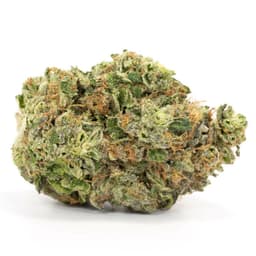 OG Lavender cannabis strain