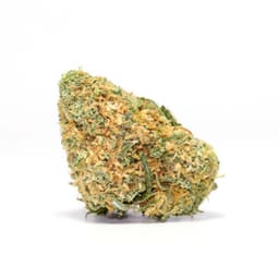 SD OG cannabis strain