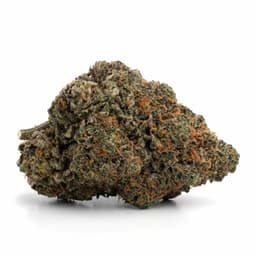 Pink Pussy cannabis strain