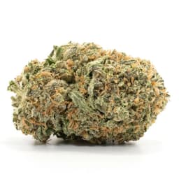 Pink Lemonade cannabis strain