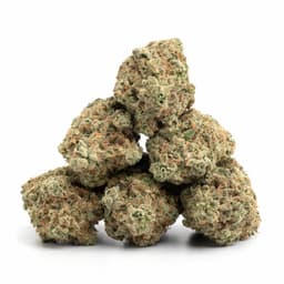 Pink Star cannabis strain