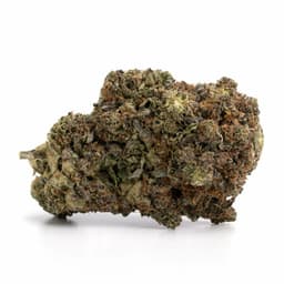 Legend OG cannabis strain