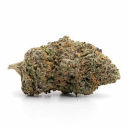 Z Cake cannabis strain