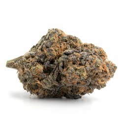 Grass Monkey cannabis strain