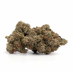 Tahoe OG cannabis strain
