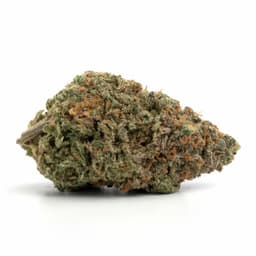 Razz OG cannabis strain