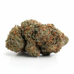 Tropic Thunder cannabis strain