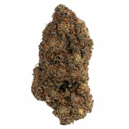 Trident cannabis strain