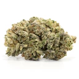 Tuna cannabis strain