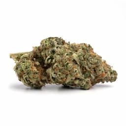 Mr. OG cannabis strain