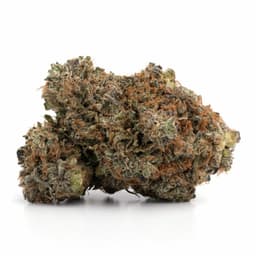 Alaskan Ice cannabis strain