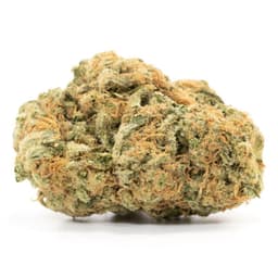 Alaskan Thunder Fuck cannabis strain