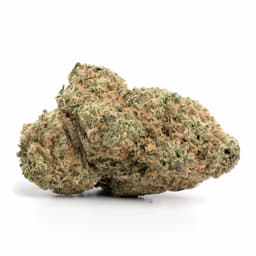 Alien Bubba cannabis strain