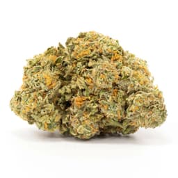 Animal Gas cannabis strain