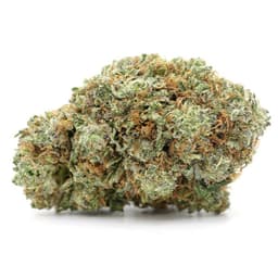 Berry White cannabis strain