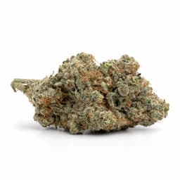 Star Fruit cannabis strain