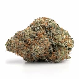 Purple OG cannabis strain