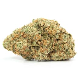 Black Gas cannabis strain