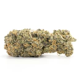 Black Kush cannabis strain