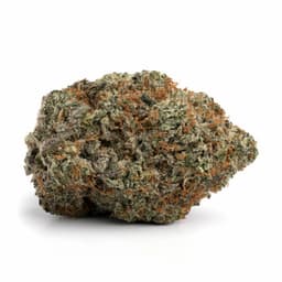 Redbone cannabis strain