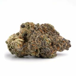Black Water cannabis strain