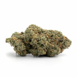 Blackberry Fire cannabis strain