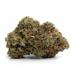 Fire Chem cannabis strain