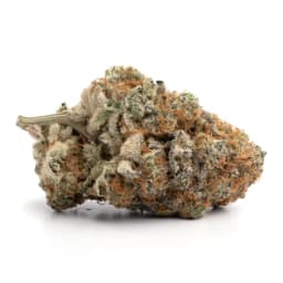 Pure OG cannabis strain