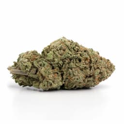 OG Story cannabis strain