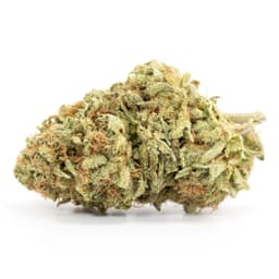 Blue Zkittlez cannabis strain