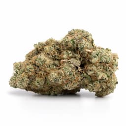 Blueberry Gum cannabis strain
